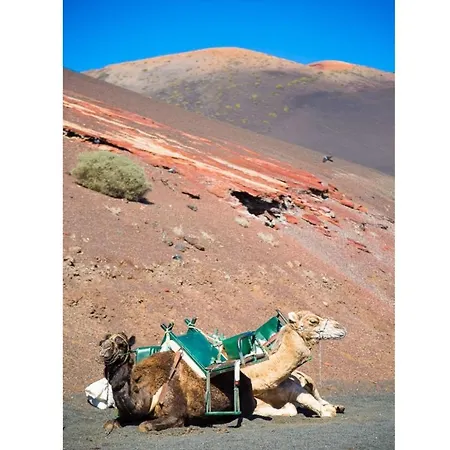 Atlantico Playa Blanca (Lanzarote)